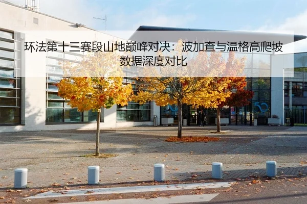 环法第十三赛段山地巅峰对决：波加查与温格高爬坡数据深度对比（Leyu）