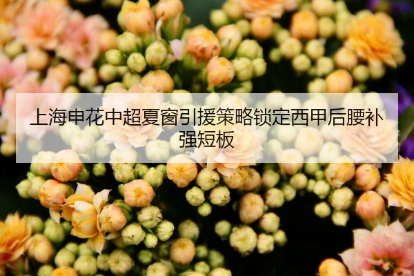 上海申花中超夏窗引援策略锁定西甲后腰补强短板