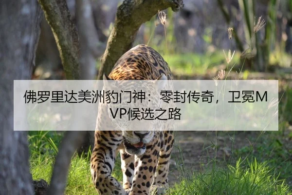 佛罗里达美洲豹门神：零封传奇，卫冕MVP候选之路