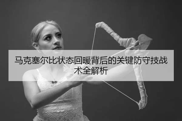 ma-ke-sai-er-bi-zhuang-tai-hui-nuan-bei-hou-de-guan-jian-fang-shou-ji-zhan-shu-quan-jie-xi-2-678.jpg